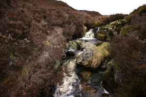 The unique watersource for whisky making at the Glenfarclas Distillery